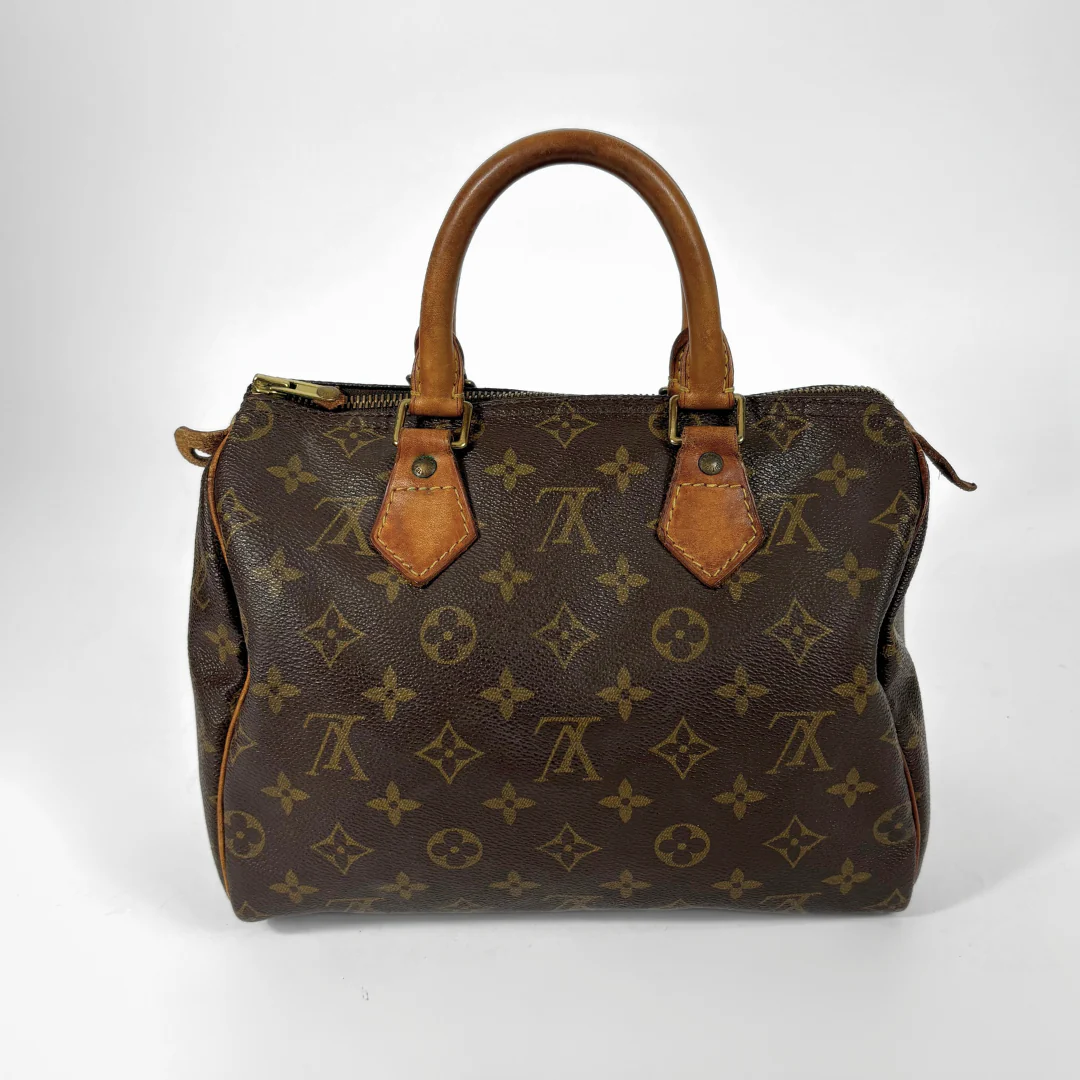 Louis Vuitton Speedy 25 back view