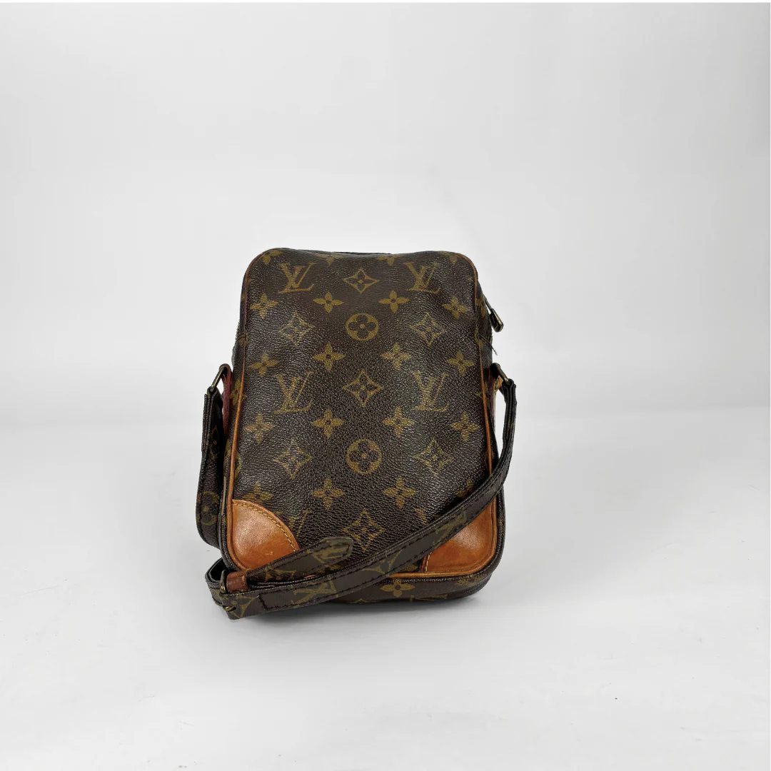 Louis Vuitton Danube Monogram Canvas