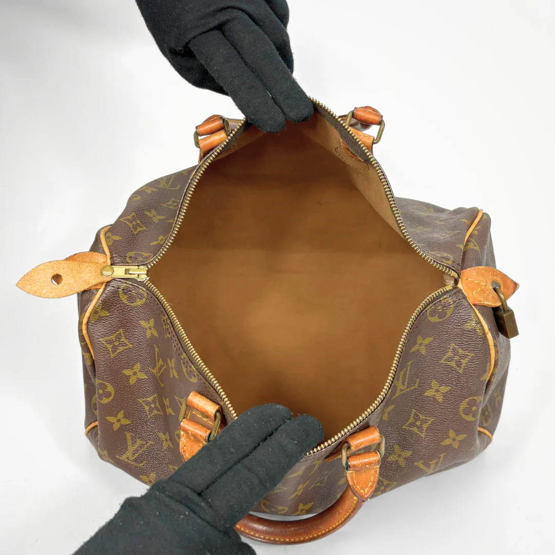 Louis Vuitton handbag with monogram pattern held by a gloved hand on a white background