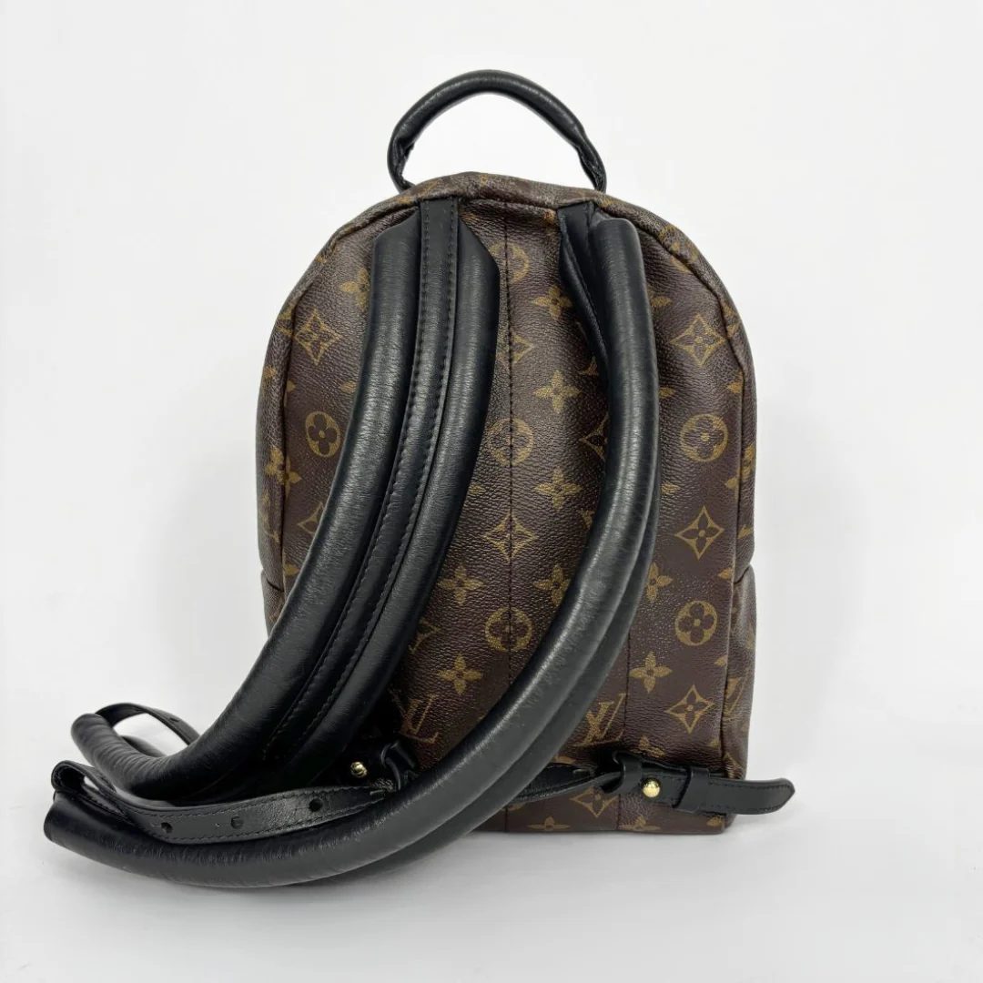Louis Vuitton backpack with monogram pattern on a white background