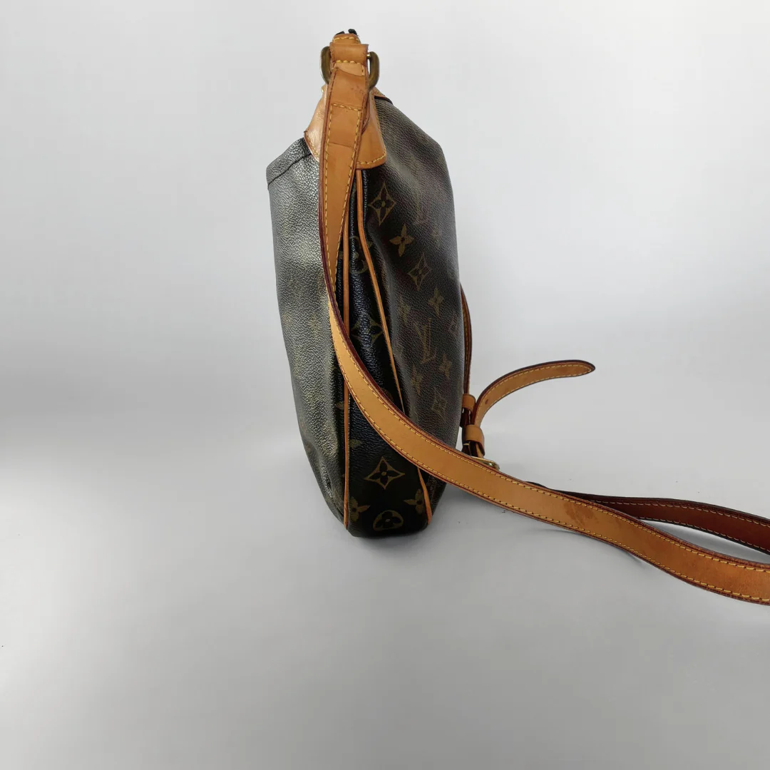 Louis Vuitton Louis Vuitton Odeon PM Monogram Canvas - Crossbody bags - Etoile Luxury Vintage