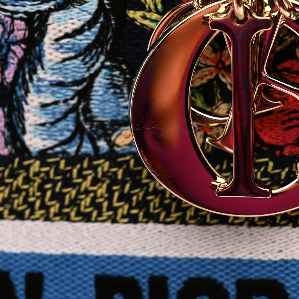 Lushentic Reviews: Lady D-Lite Blue Multicolor Embroidered Canvas - Image 8