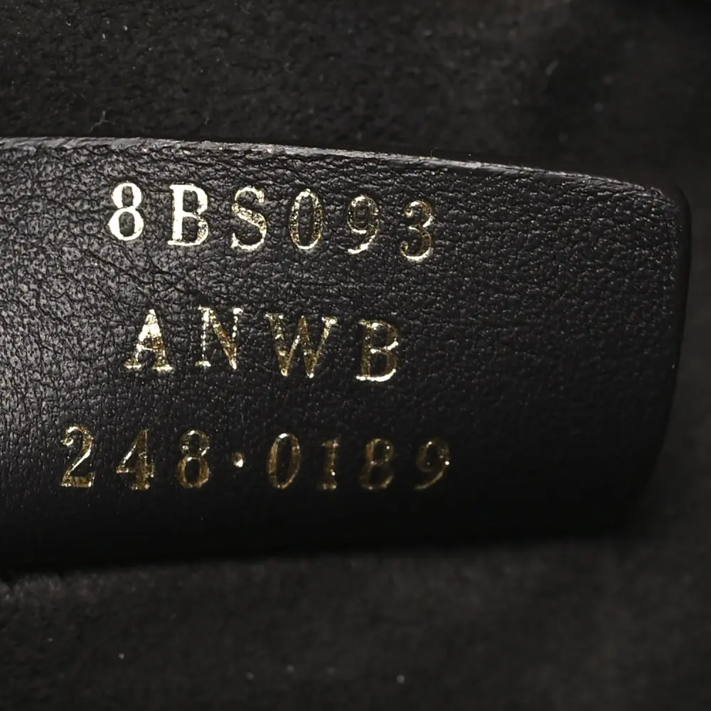 Lushentic Bag Mini F is Fendi Logo Mon Tresor Bucket Bag - Image 8