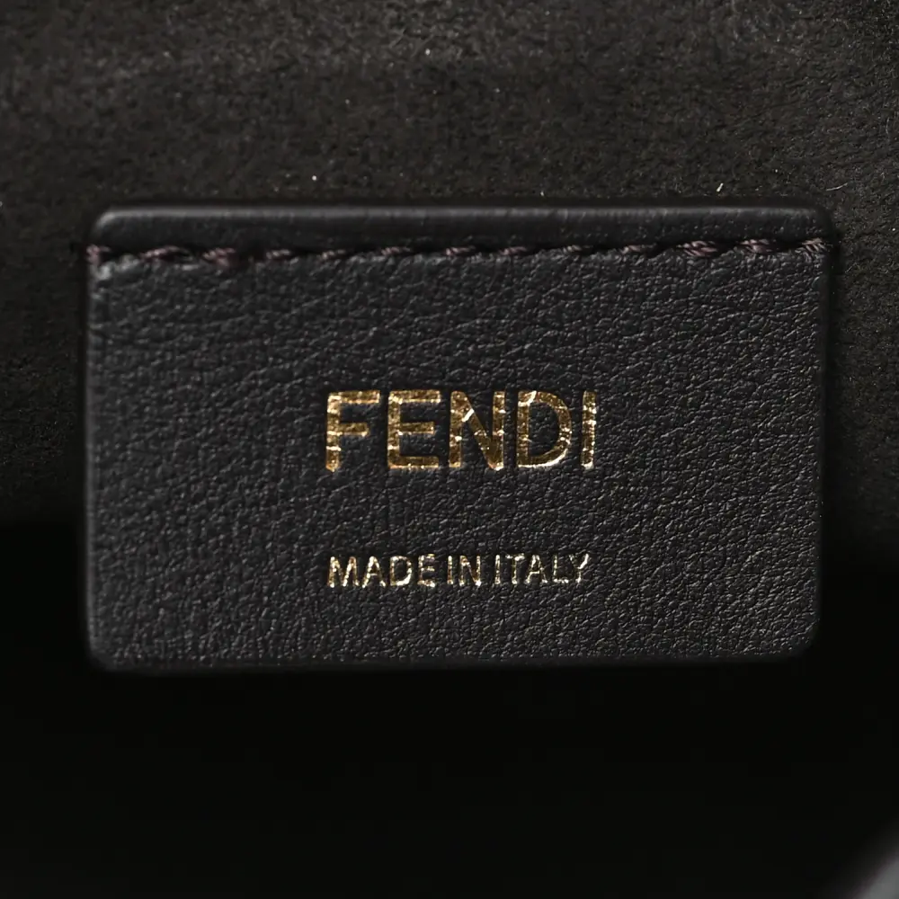Lushentic Bag Mini F is Fendi Logo Mon Tresor Bucket Bag - Image 2